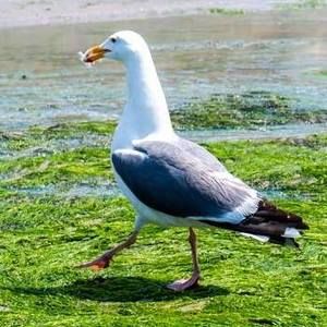 Meet your Posher, Tiffany therese